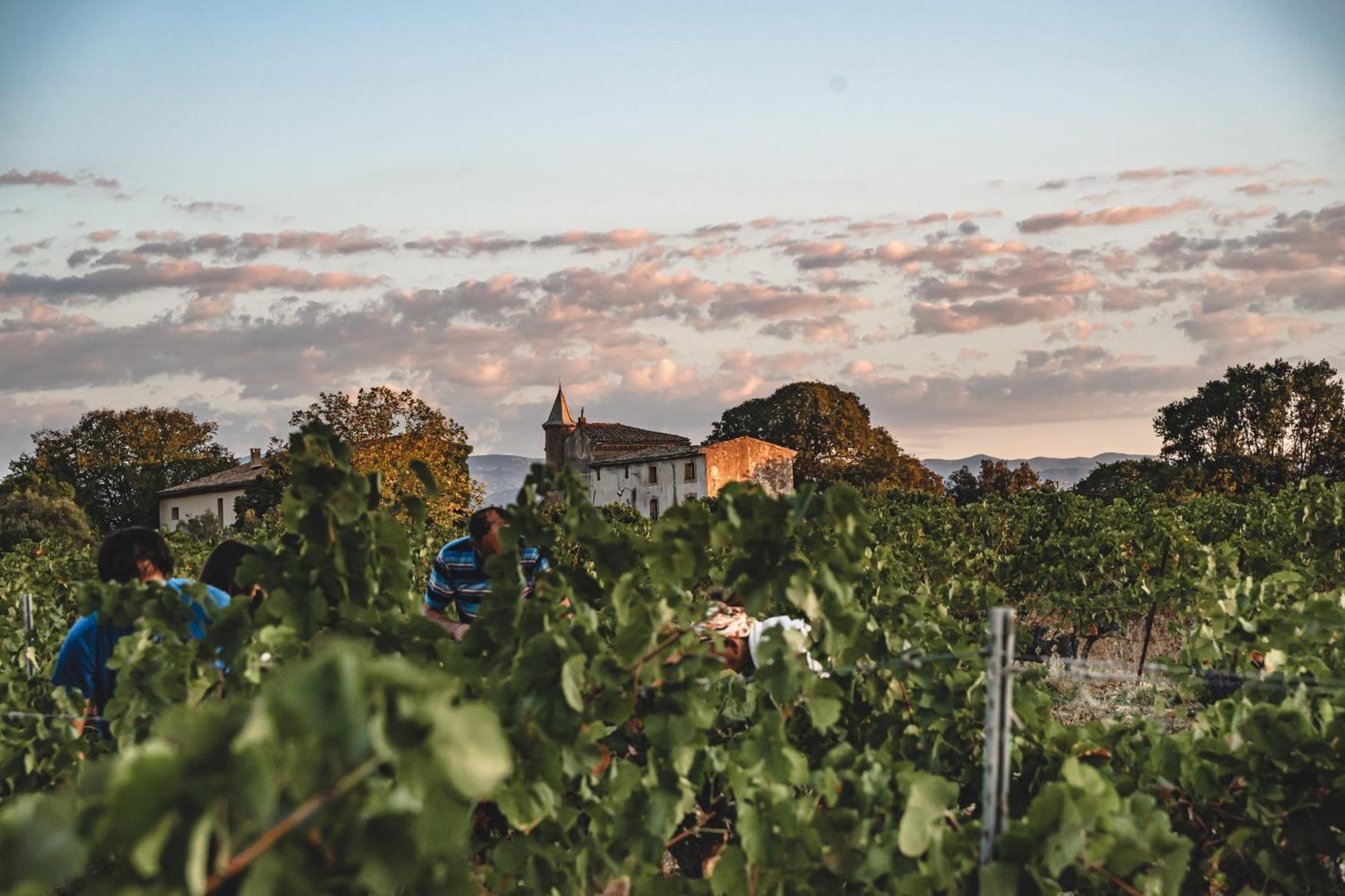 Domaine De Pelican Gignac  Ngoại thất bức ảnh