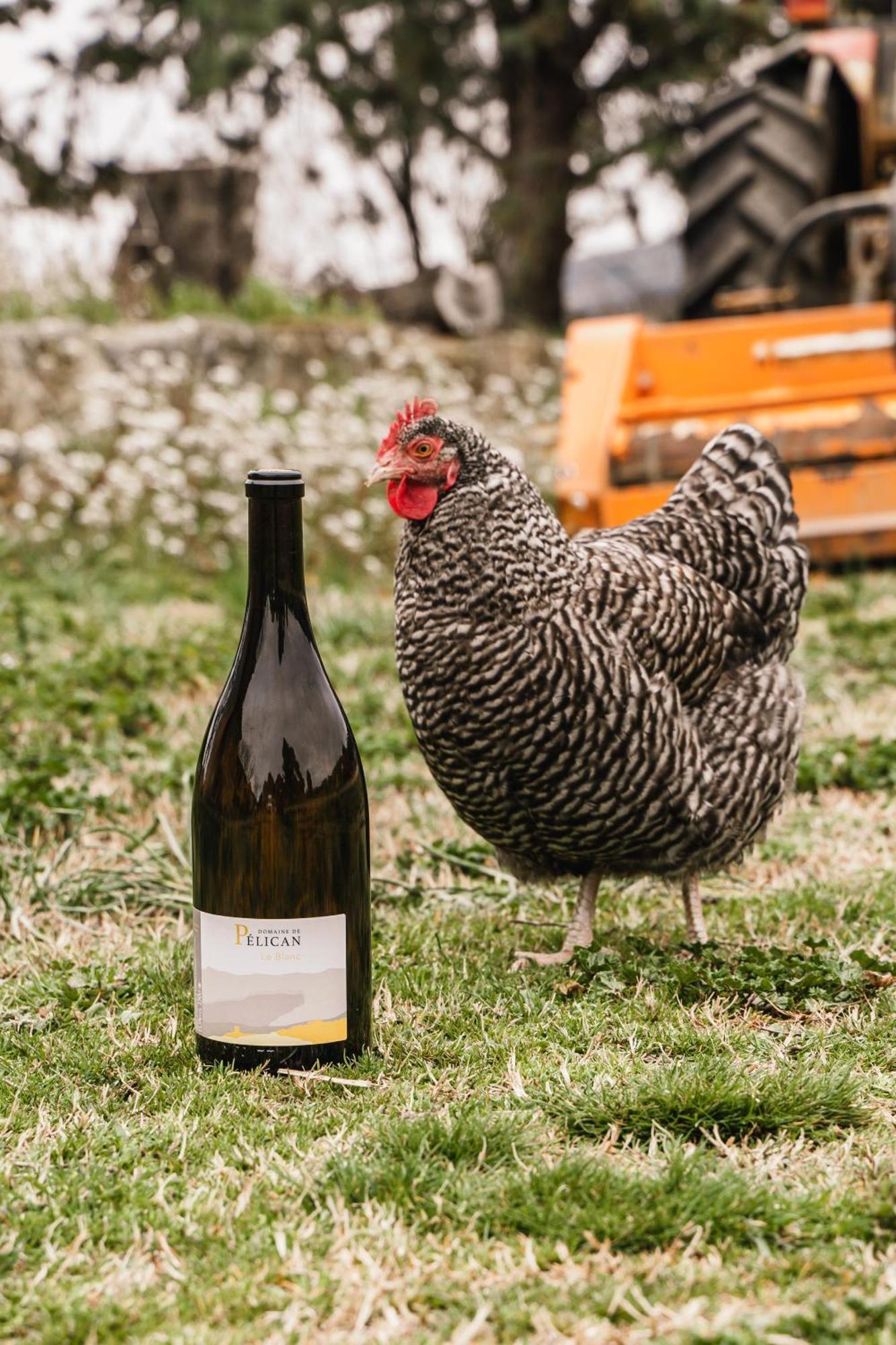 Domaine De Pelican Gignac  Ngoại thất bức ảnh