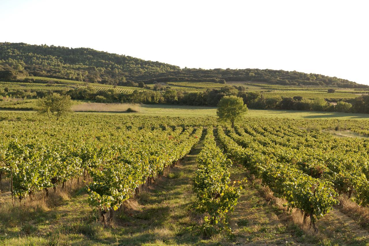 Domaine De Pelican Gignac  Ngoại thất bức ảnh